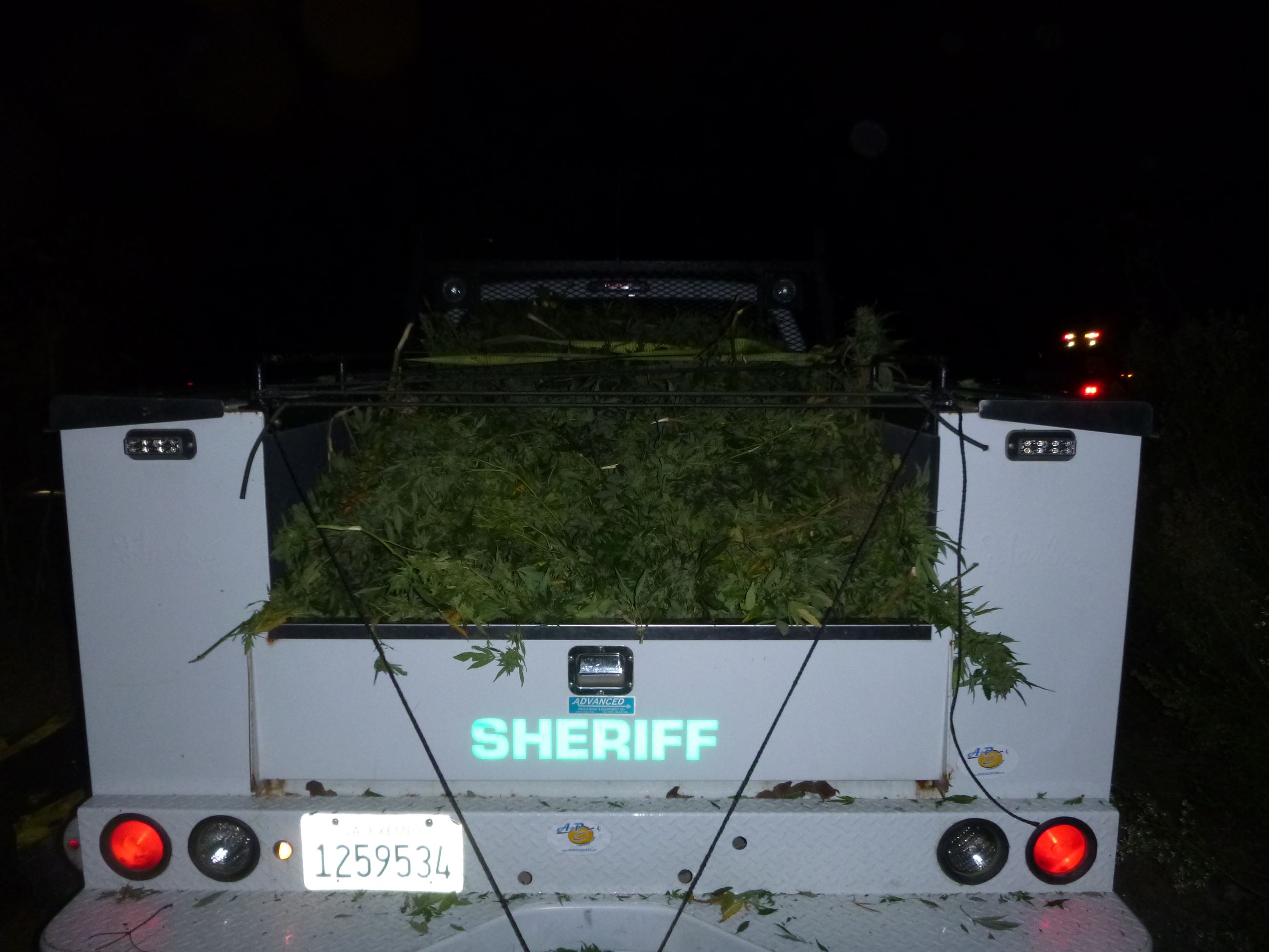 201505199 mj in truck